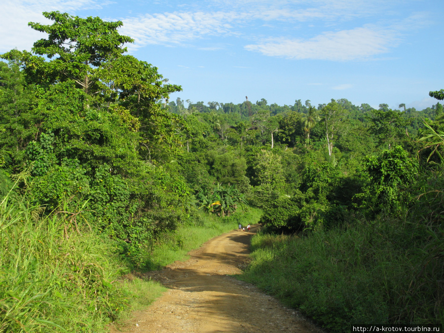 Эта дорога идёт из Каупа в сторону Ангорама. Маши в самом Каупе нет, но судя по следам — приезжают иногда Провинция Восточный Сепик, Папуа-Новая Гвинея