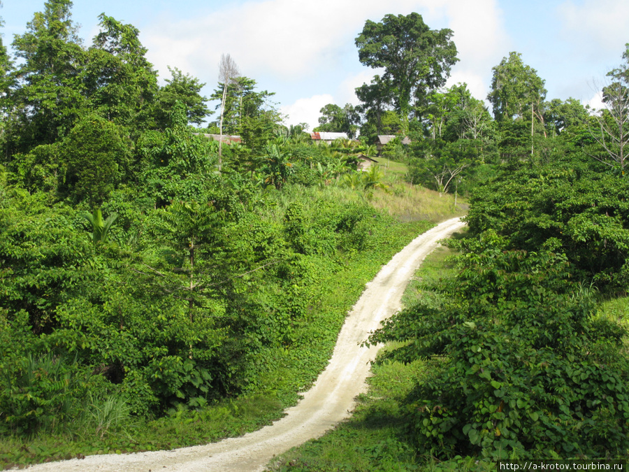 Дорога не имеет асфальта (кроме десяти километров под Ванимо) Аитапе, Папуа-Новая Гвинея