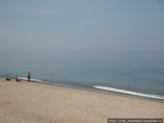 Весенняя прогулка по берегам залива и моря Куршская Коса Национальный Парк, Россия