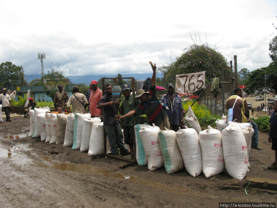Приём кофе Горока, Папуа-Новая Гвинея
