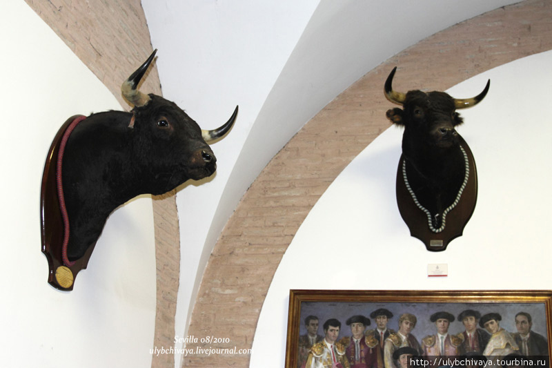 Арена для боя быков Пласа-де-Торос-де-ла-Маэстранса Севилья, Испания