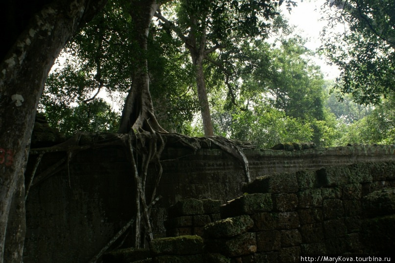 Ангкор навсегда. Ангкор (столица государства кхмеров), Камбоджа