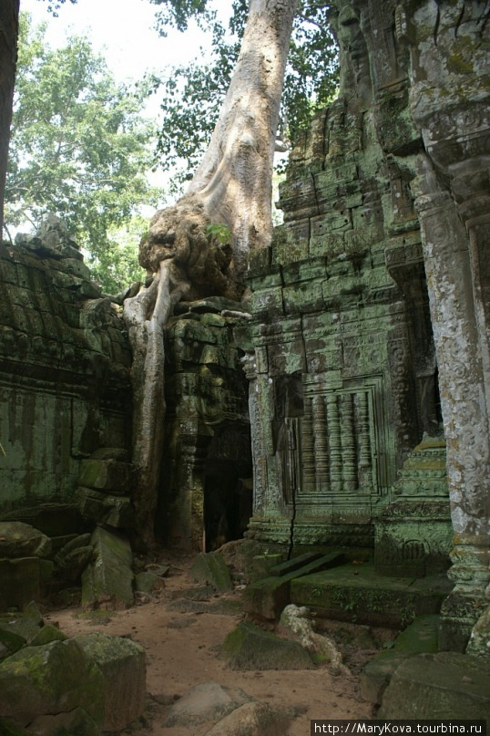 Та-Пром – это храм, расположенный примерно в одном километре к востоку от Ангкор-Тхома. Он был построен при Джаявармане VII в конце XII — начале XIII веков как Махаяна-буддийский монастырь и университет. В отличие от большинства храмов Ангкора Та-Пром остался в таком же состоянии, в каком он был найден: среди деревьев, растущих из-под развалин. Джунгли окружили его и сделали одним из наиболее популярных мест для посещения. Ангкор (столица государства кхмеров), Камбоджа