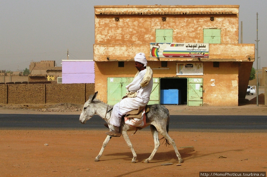 Судан, джигит Судан