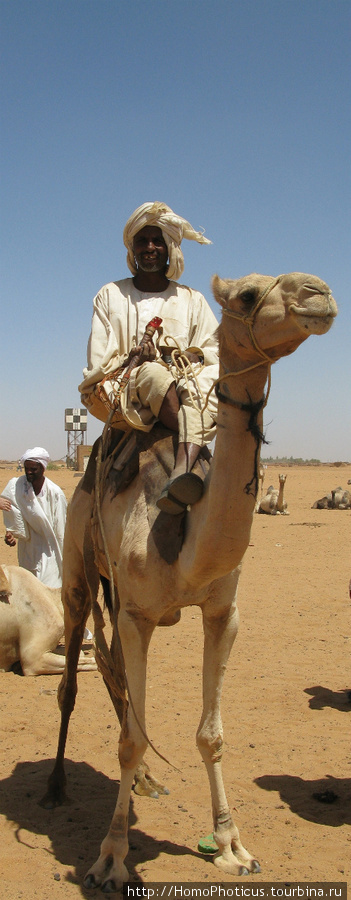 Джигит на верблюде :) Судан