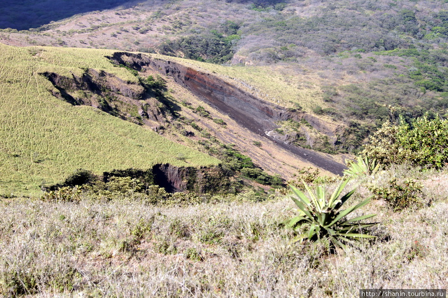 Склон вулкана Остров Ометепе, Никарагуа