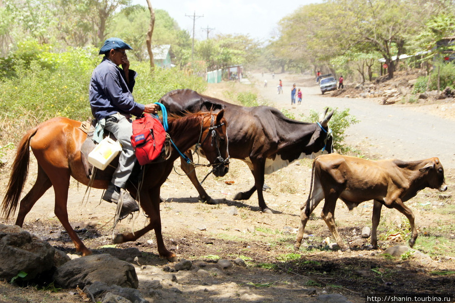 Пастух на лошади Остров Ометепе, Никарагуа