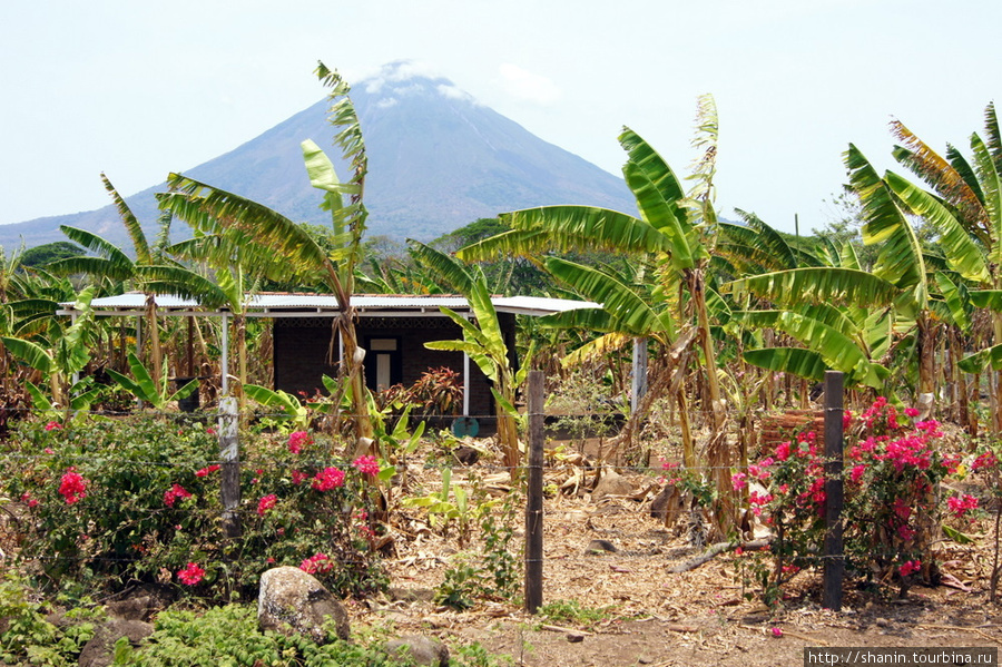 Вид с дороги на Мериду на вулкан Консепсьон Остров Ометепе, Никарагуа