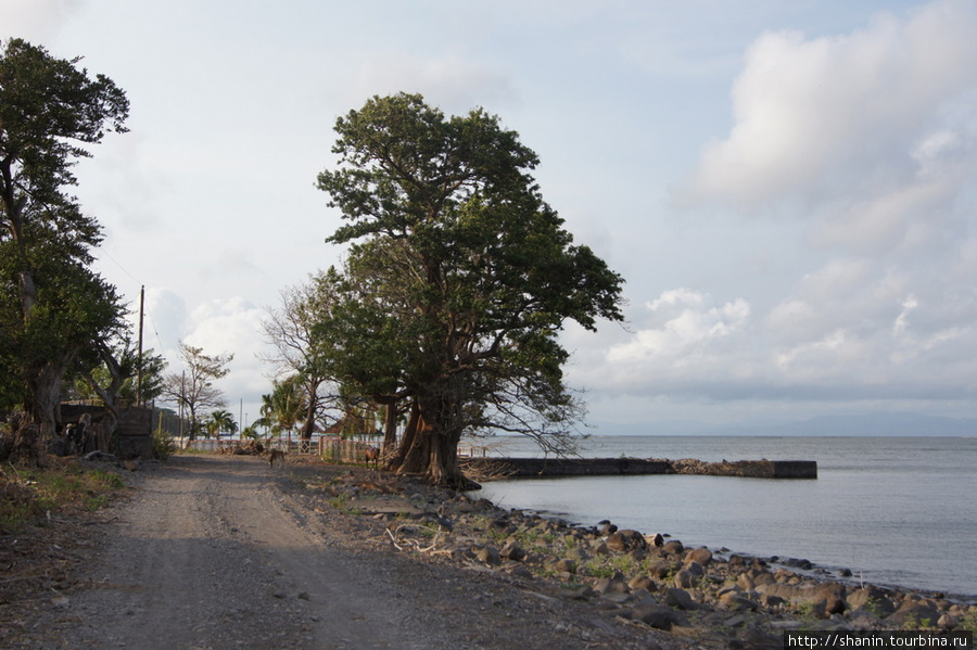Дорога идет плямо вдоль берега озера Никарагуа Остров Ометепе, Никарагуа