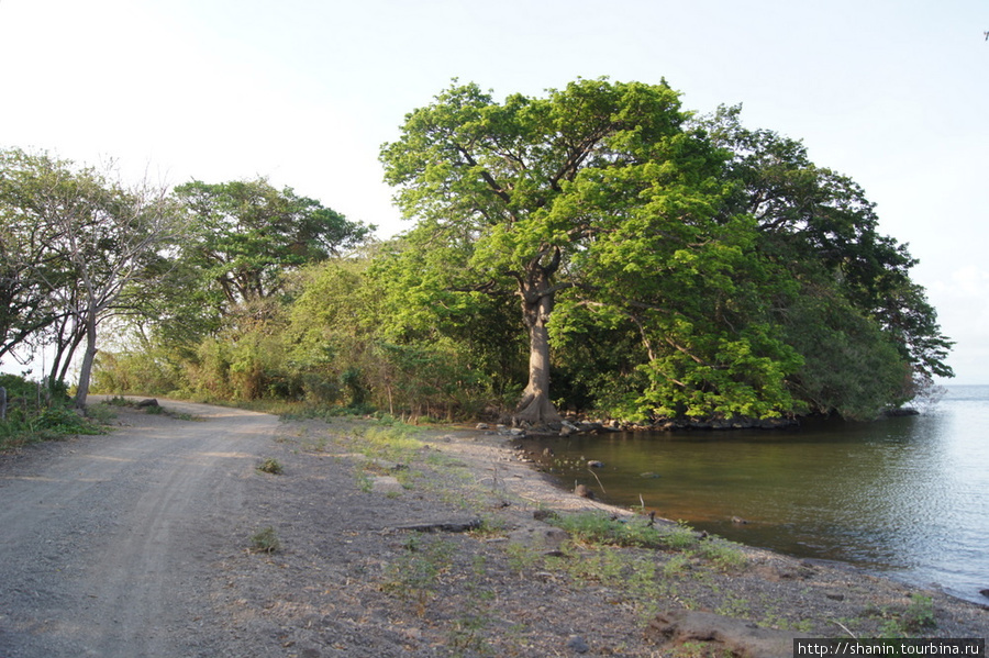 Дорога по берегу озера Остров Ометепе, Никарагуа