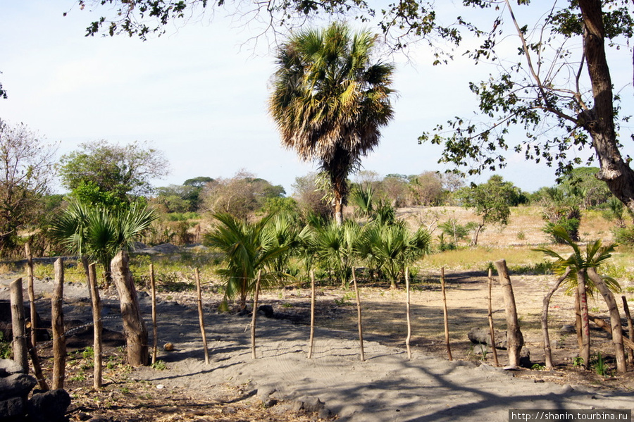 За забором — частная террпитория Остров Ометепе, Никарагуа
