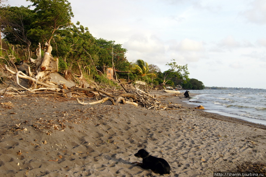 Пляж Санто-Доминго Остров Ометепе, Никарагуа