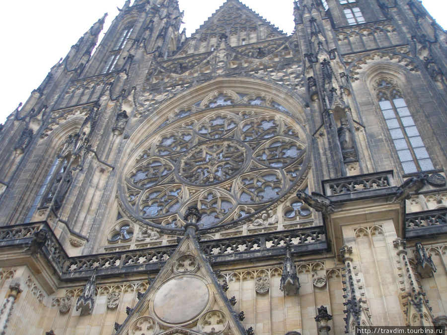 Высоко  ввысь тянется собор Святого Вита. Прага, Чехия