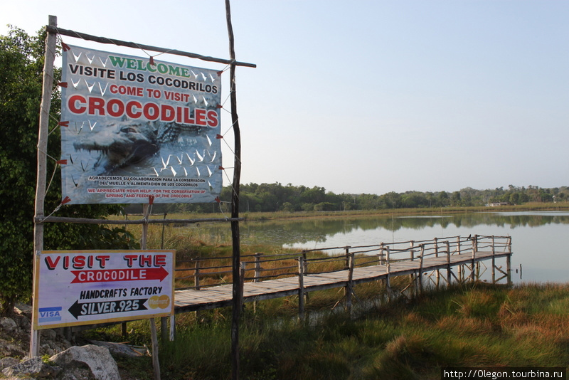 Городок с крокодилами Коба, Мексика