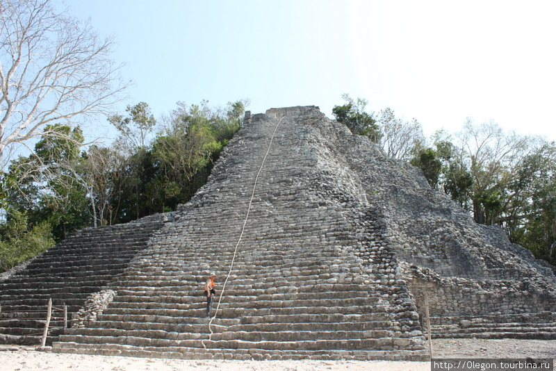 С пирамиды на зелёное море джунглей Коба, Мексика