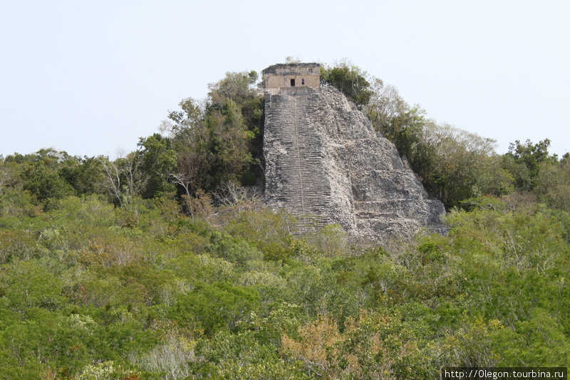 Пирамида Nohoch Mul среди зелёного моря джунглей Коба, Мексика