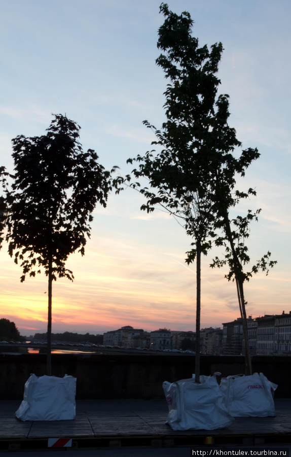 Вечер, мост, деревья... Флоренция, Италия