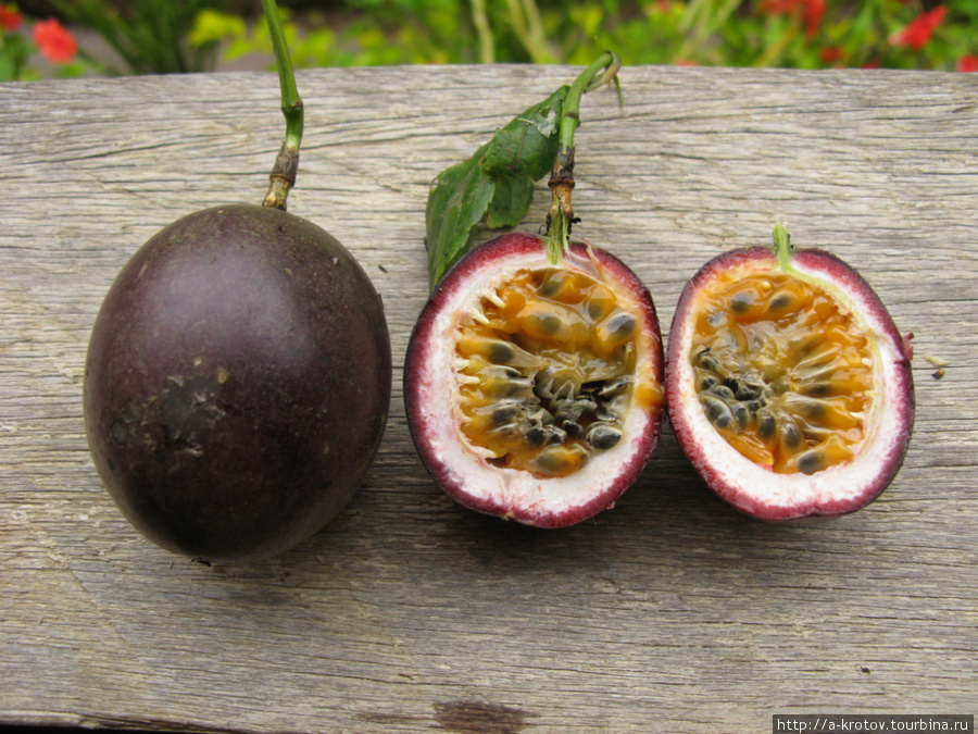 Необычный фрукт Кундиава, Папуа-Новая Гвинея
