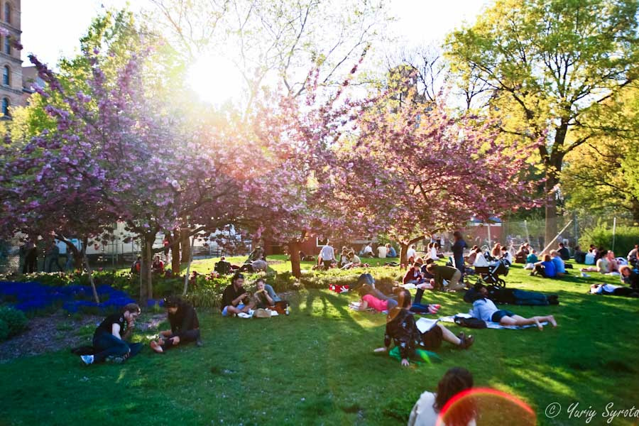 Незнакомый Нью-Йорк: Washington Square Park Нью-Йорк, CША