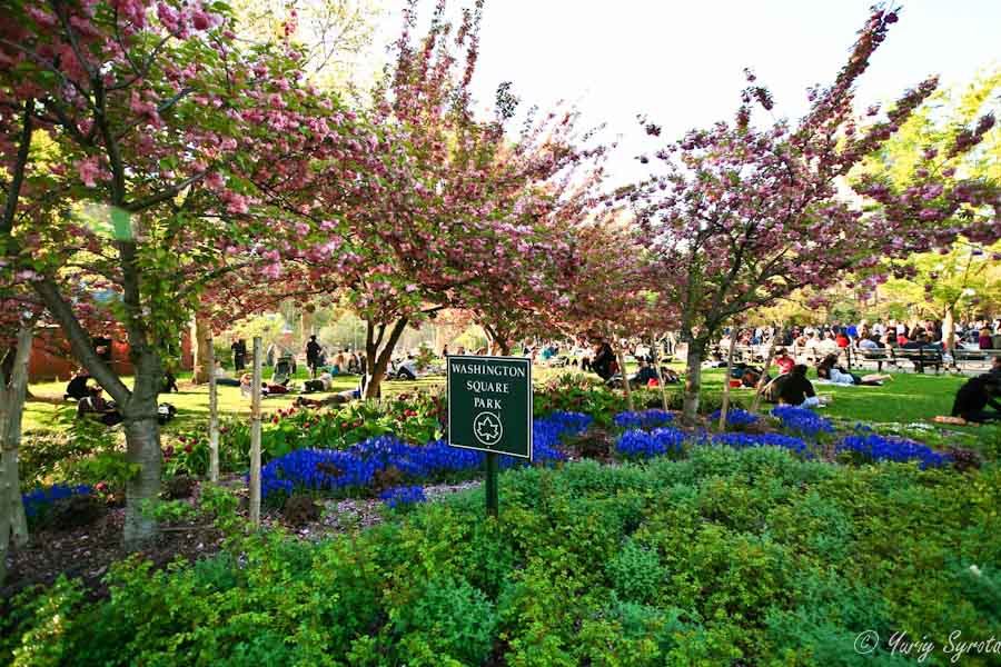 Незнакомый Нью-Йорк: Washington Square Park Нью-Йорк, CША