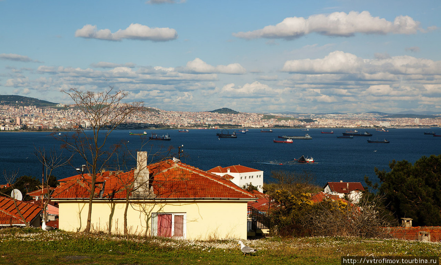 Вид с одного из холмов острова. Стамбул, Турция