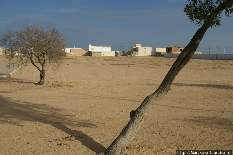Зимние пески Сахары. Тунис с севера на юг с запада на восток Тунис
