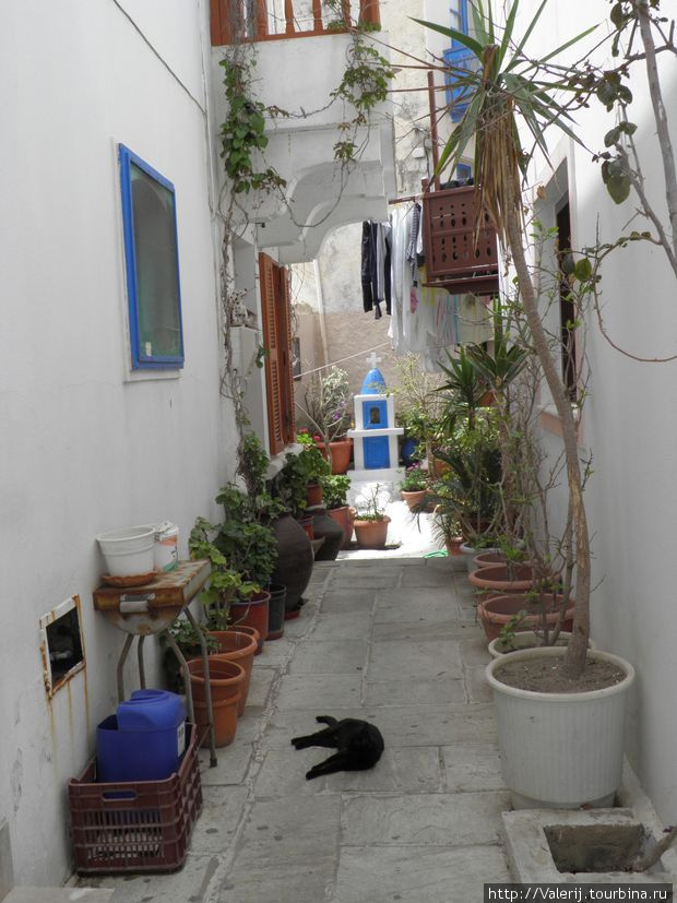 Вот так они и живут Остров Кос, Греция