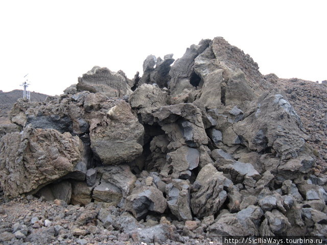 Каменный цветок — застывшая лава на высоте 2600 м.