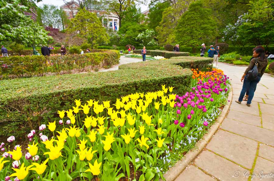 Conservatory Garden Нью-Йорк, CША