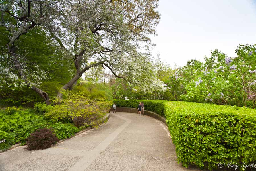 Conservatory Garden Нью-Йорк, CША