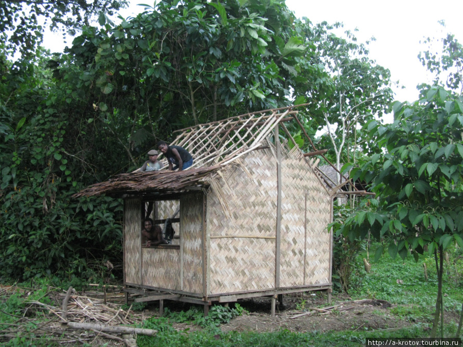 Окна можно не стеклить, крышу можно из соломы, если протечет — то несильно Папуа-Новая Гвинея