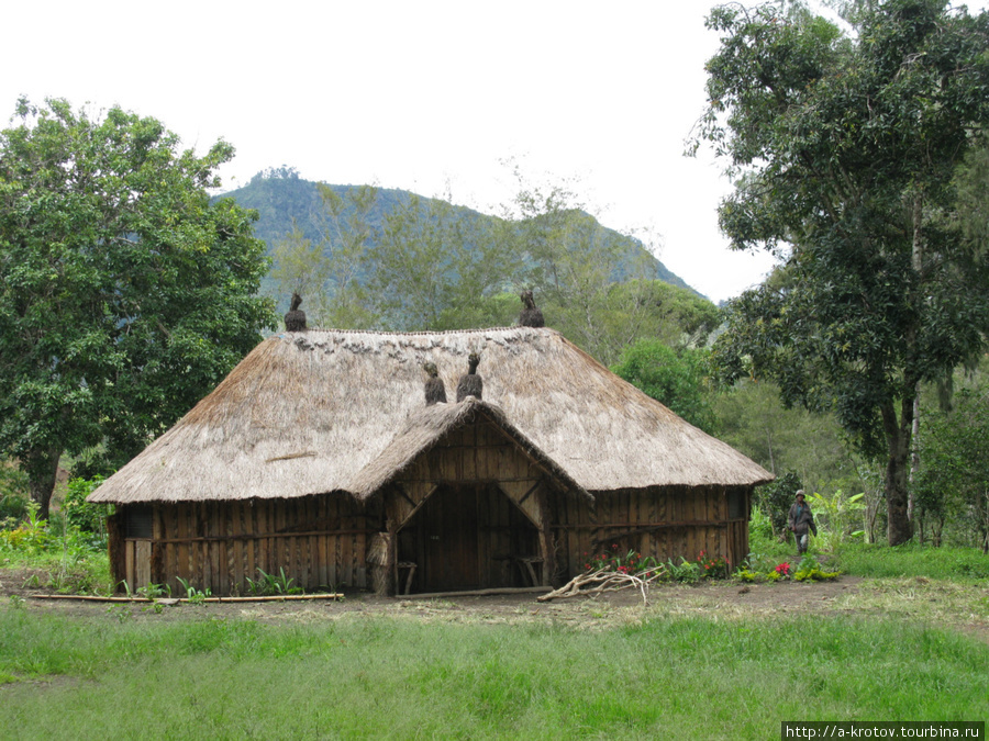 Дома в Папуа-новой-Гвинее - дачнику на заметку! Папуа-Новая Гвинея