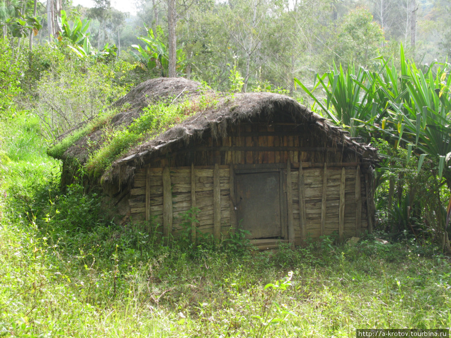 в Нагорных Провинциях есть низкие, тёплые, экологически чистые дома Папуа-Новая Гвинея