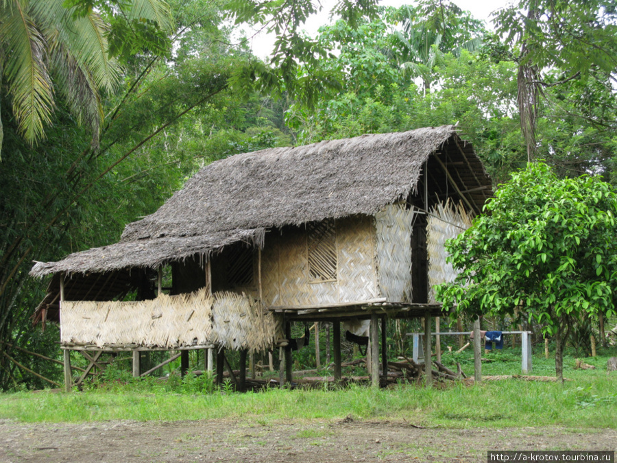 Дома на ножках — в приморских местах, дома на земле — в горных провинциях Папуа-Новая Гвинея