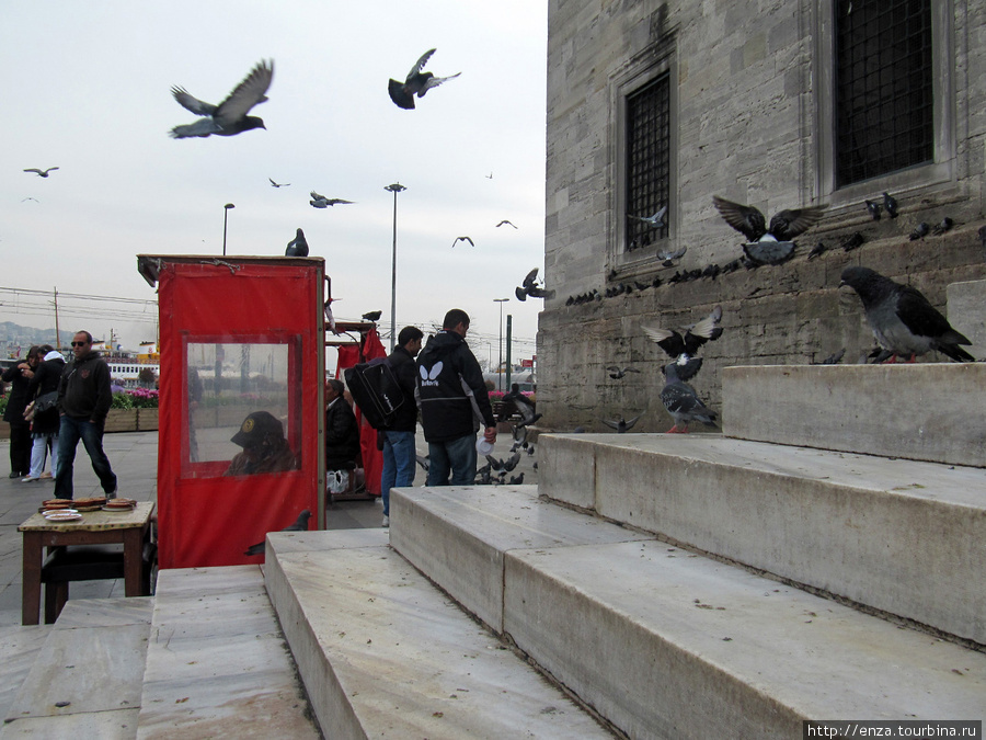 Киоск с голубиным кормом на площади Эмененю Стамбул, Турция