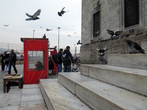 Киоск с голубиным кормом на площади Эмененю