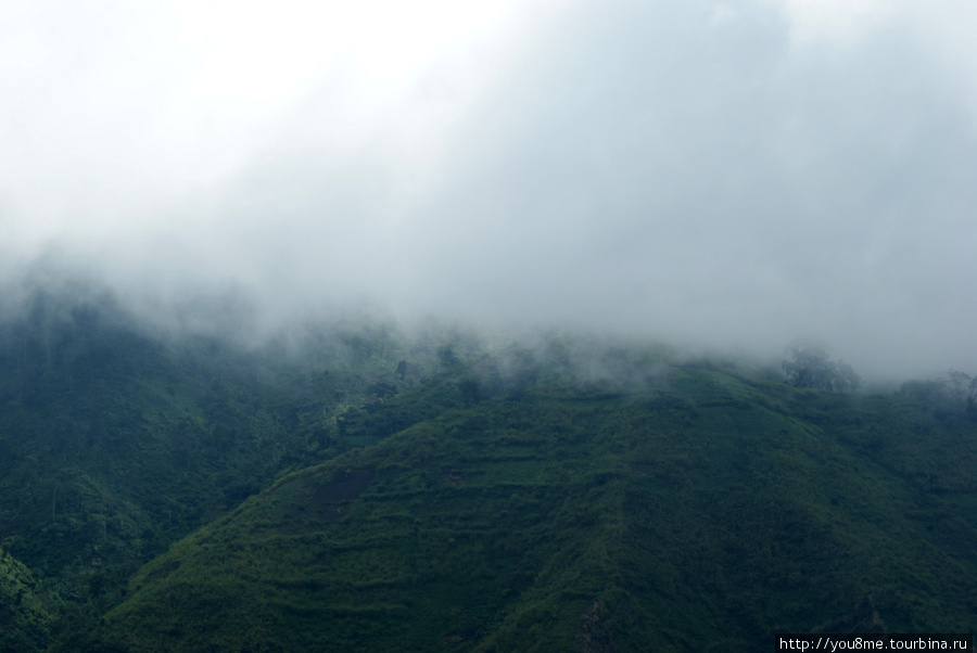 Повелитель облаков Рвензори Маунтинс Национальный Парк, Уганда