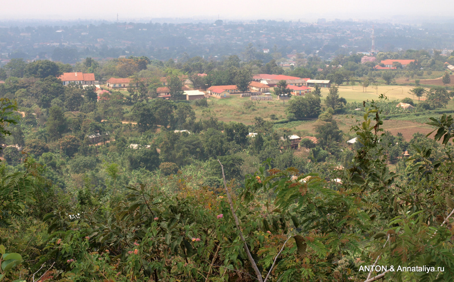 Вид с холма, на котором жил Семей Какунгулу Мбале, Уганда