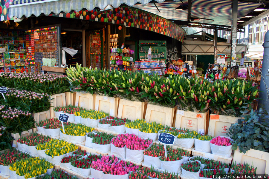 Товары нидерланды. Рынок тюльпанов в Амстердаме. Bloemenmarkt в Амстердаме. Голландский рынок цветов. Плавучий цветочный рынок.