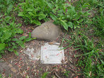 Камень из лагеря Освенцим 2007 г.