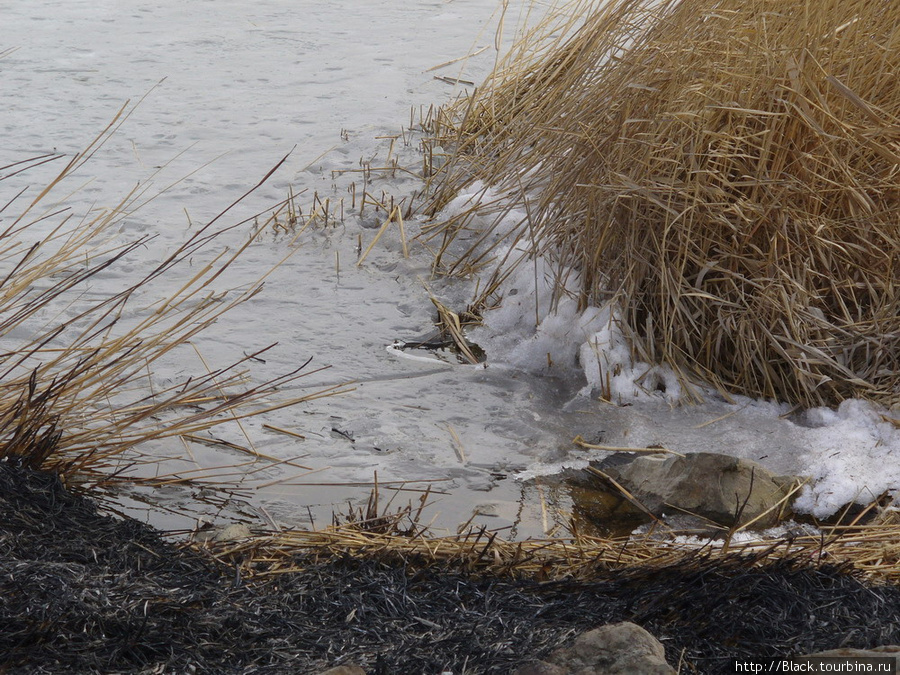 Снег и лед на Михайловском озере Саки, Россия
