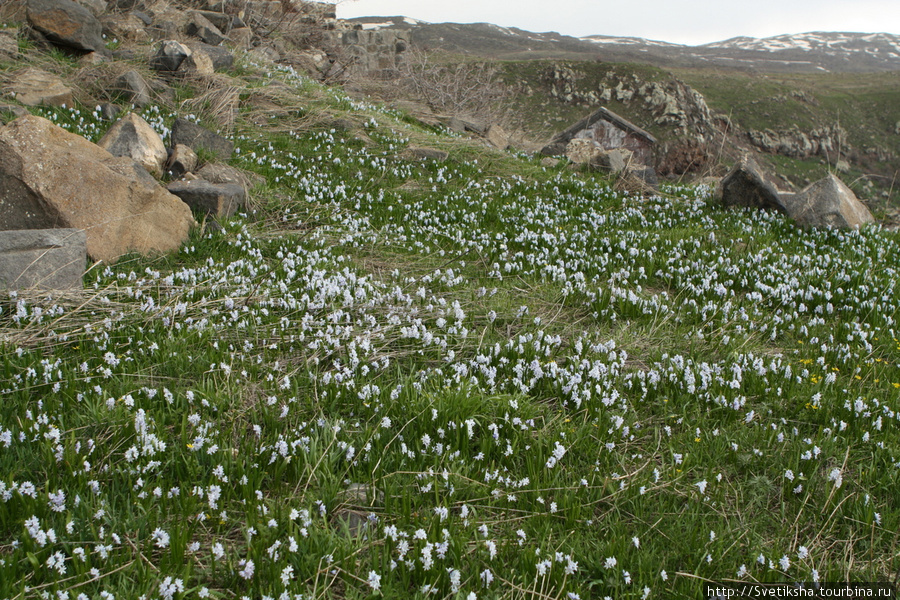 Амберд — одинокая крепость в пустынном краю Амберд, Армения