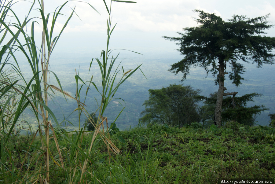 на краю обрыва Рвензори Маунтинс Национальный Парк, Уганда
