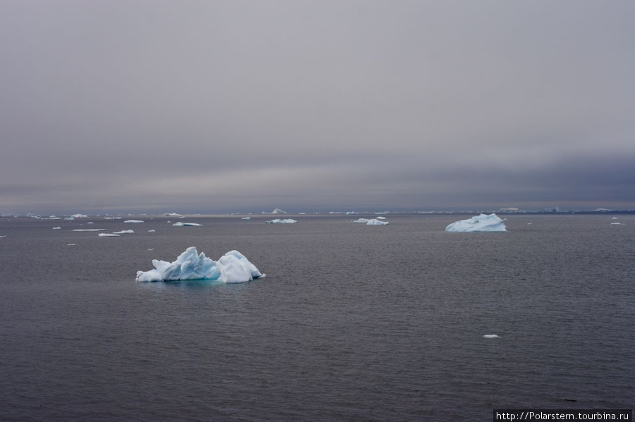 Antarctic Sound — особая акватория в Антарктике Пролив Антарктик-Саунд, Антарктида