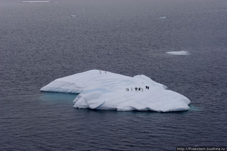 Antarctic Sound - особая акватория в Антарктике