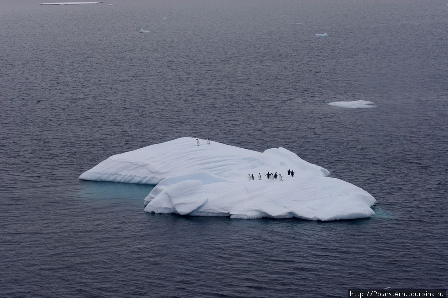 Antarctic Sound — особая акватория в Антарктике Пролив Антарктик-Саунд, Антарктида