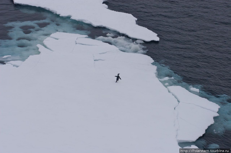 Antarctic Sound — особая акватория в Антарктике Пролив Антарктик-Саунд, Антарктида