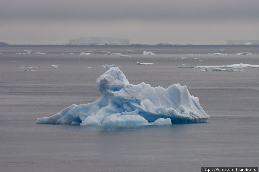 Antarctic Sound — особая акватория в Антарктике Пролив Антарктик-Саунд, Антарктида