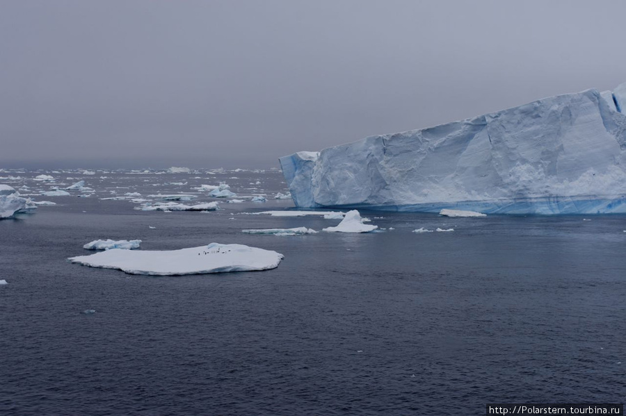 Antarctic Sound — особая акватория в Антарктике Пролив Антарктик-Саунд, Антарктида