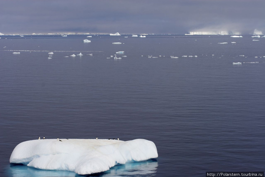 Antarctic Sound — особая акватория в Антарктике Пролив Антарктик-Саунд, Антарктида